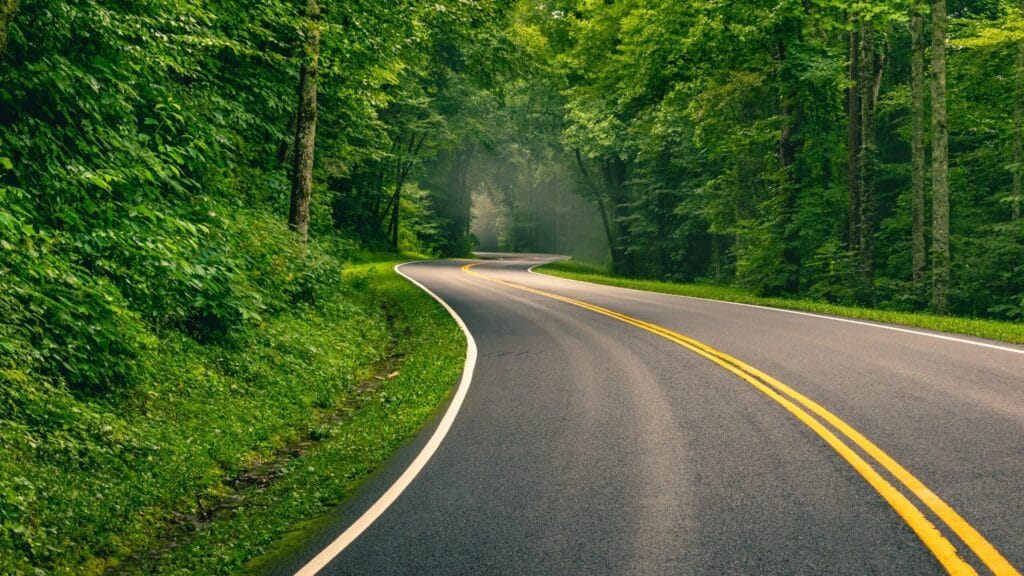 Winding country road through woods